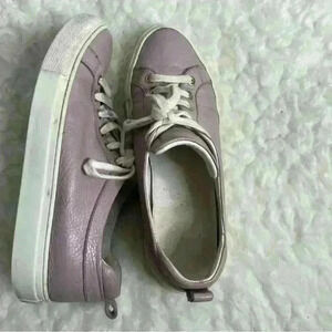 M. Gemi The Palestra  Purple Leather Lace Up Sneakers Shoes